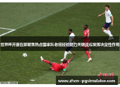 世界杯开赛在即聚焦热点国家队老将经验助力关键战役发挥决定性作用